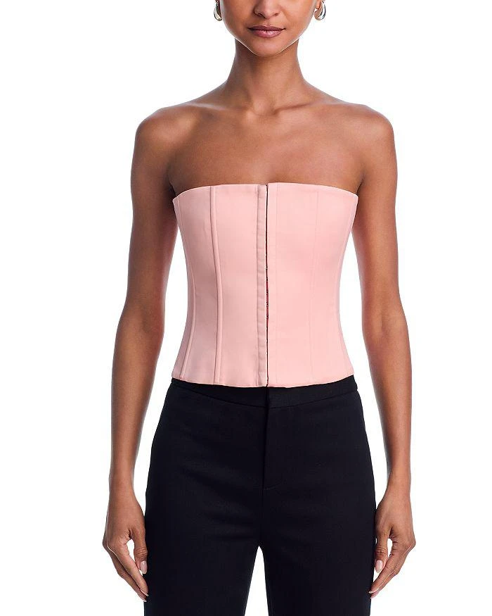 Danielle Guizio Satin Corset Top 6