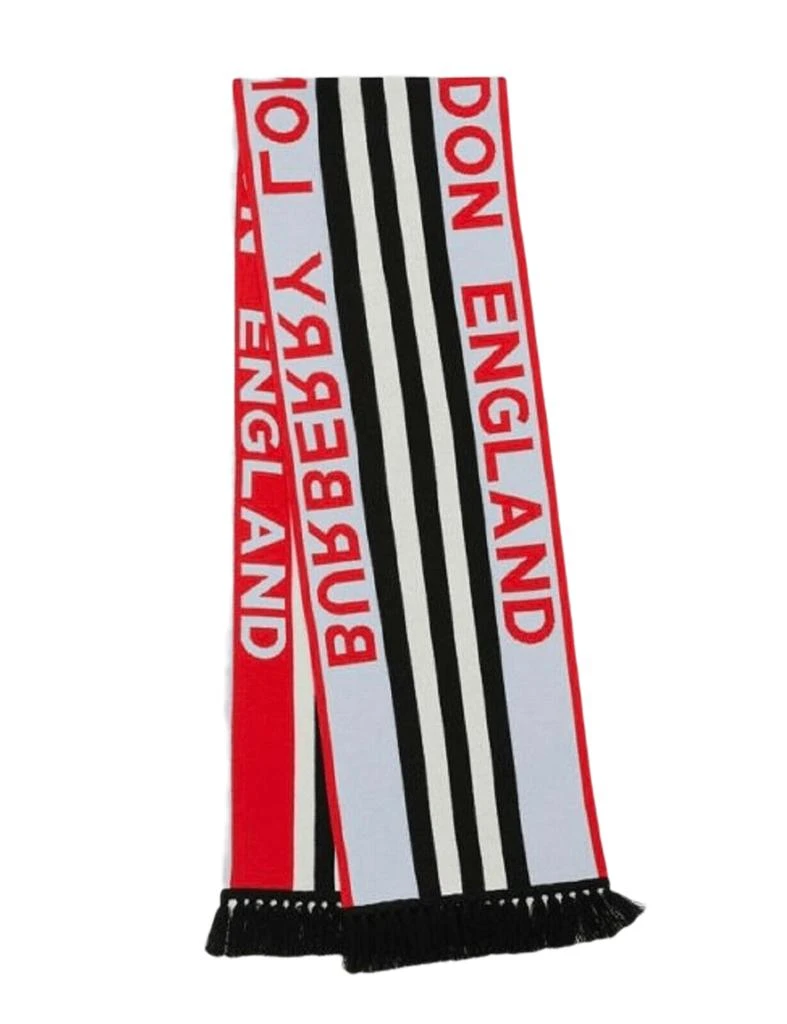 Burberry Women
s Blue/ Cashmere Long Scarf with Logo 4