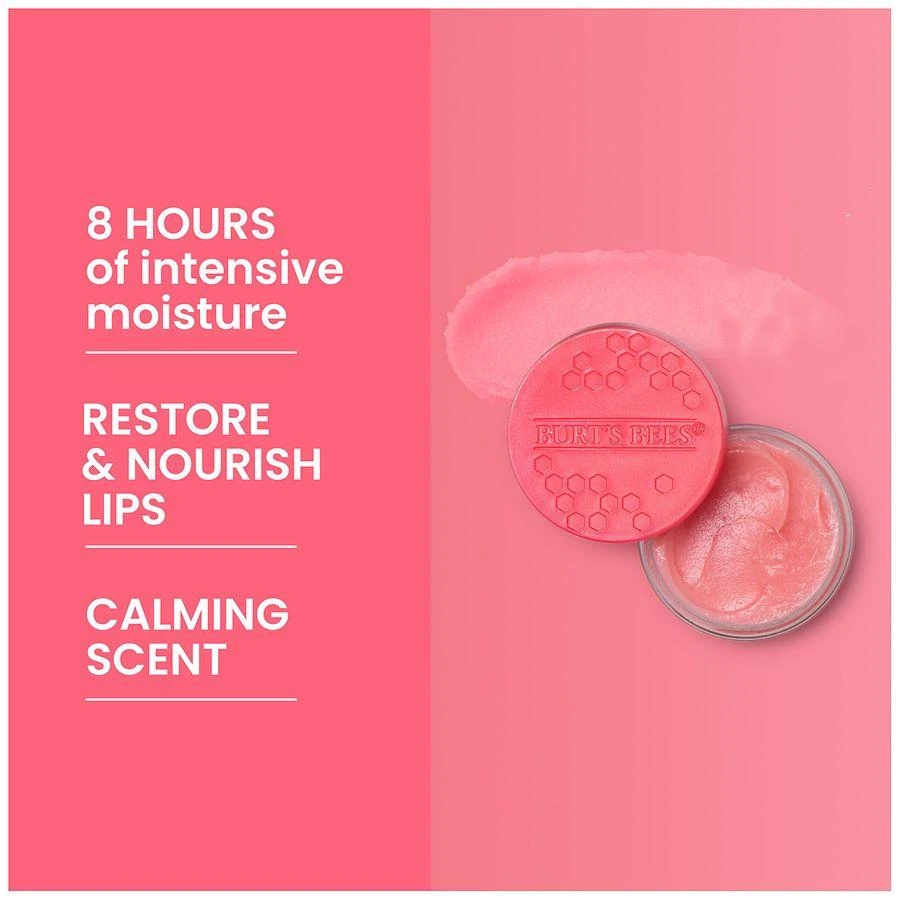 Burt
s Bees Overnight Lip Treatment for Dry Lips PassionFruit 
Chamomile 9