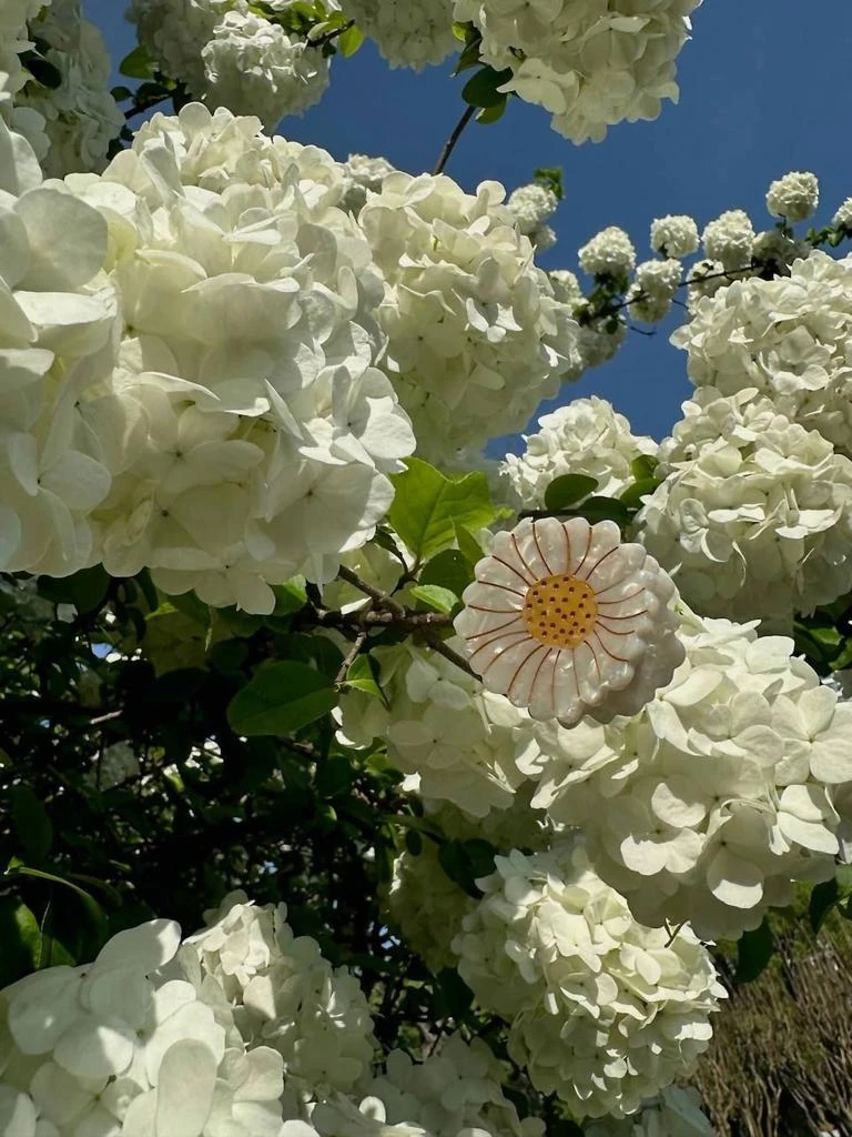 Solar Eclipse Solar Eclipse - Women
s Mini Daisy Claw Clip 2