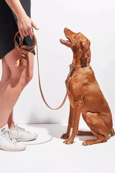 Wild One Wild One Adjustable Dog Leash 1