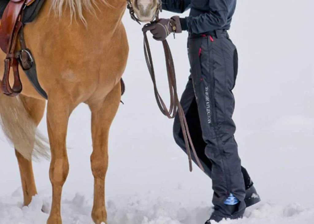 Mountain Horse Mountain Horse - Polar Breech Pants 3
