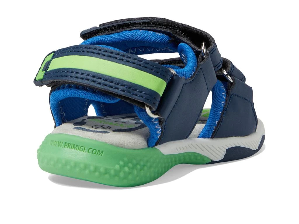 Primigi Kids 39555 (Toddler/Little Kid) 5
