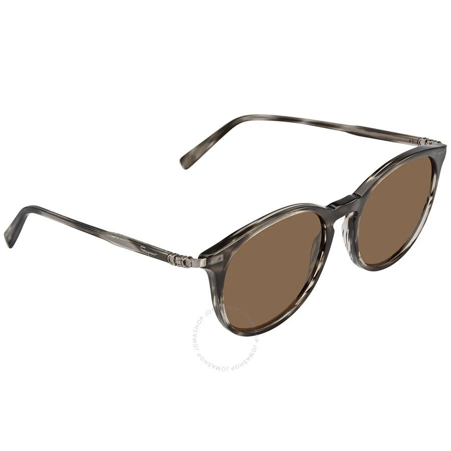 Salvatore Ferragamo Brown Round Ladies Sunglasses SF911S 003 53 2