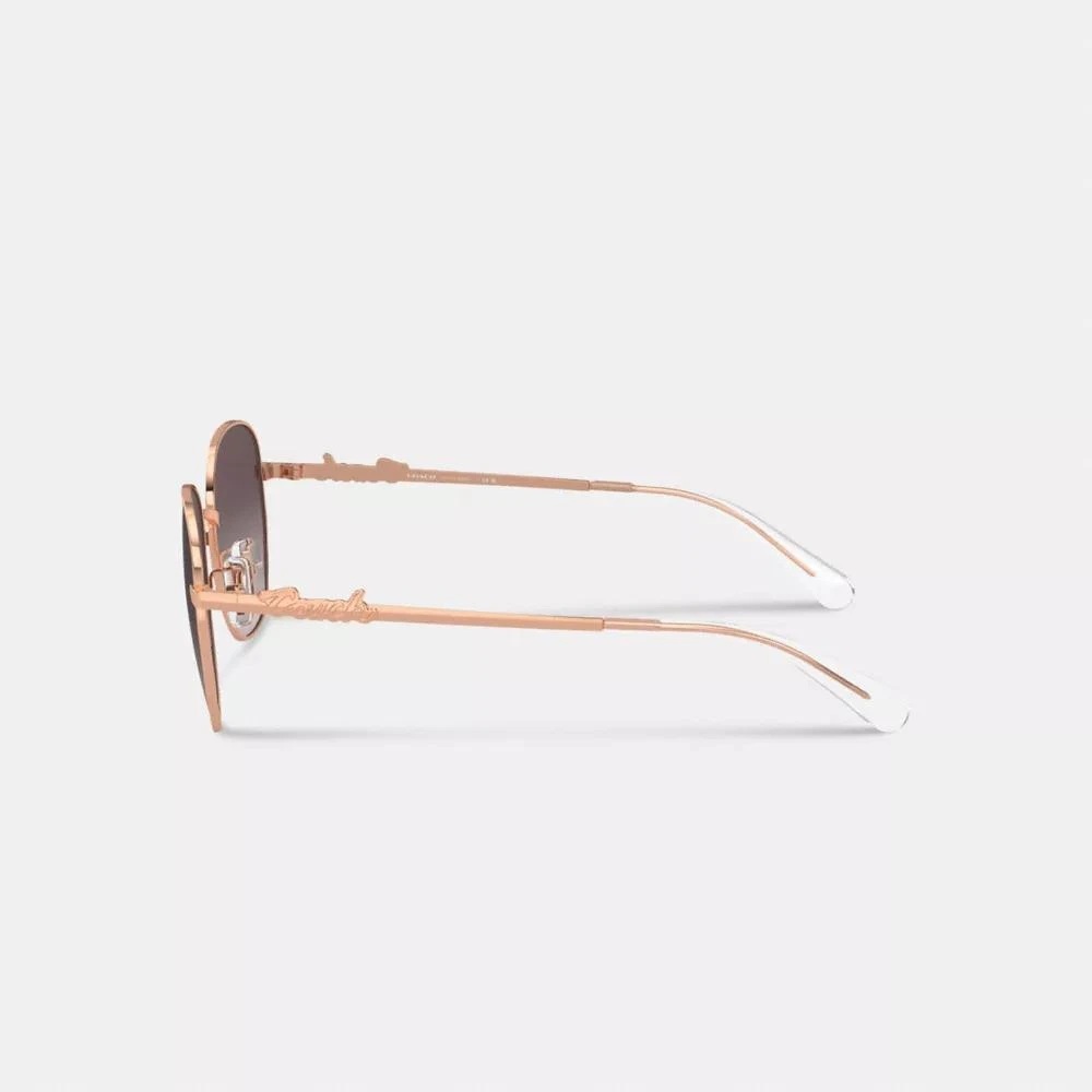 Coach Coach Script Round Sunglasses 4