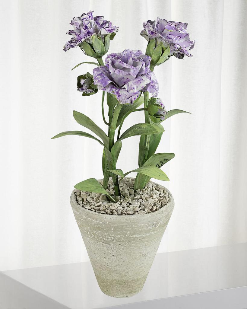 Tommy Mitchell Carnation January Birth Flower in White Terracotta Pot