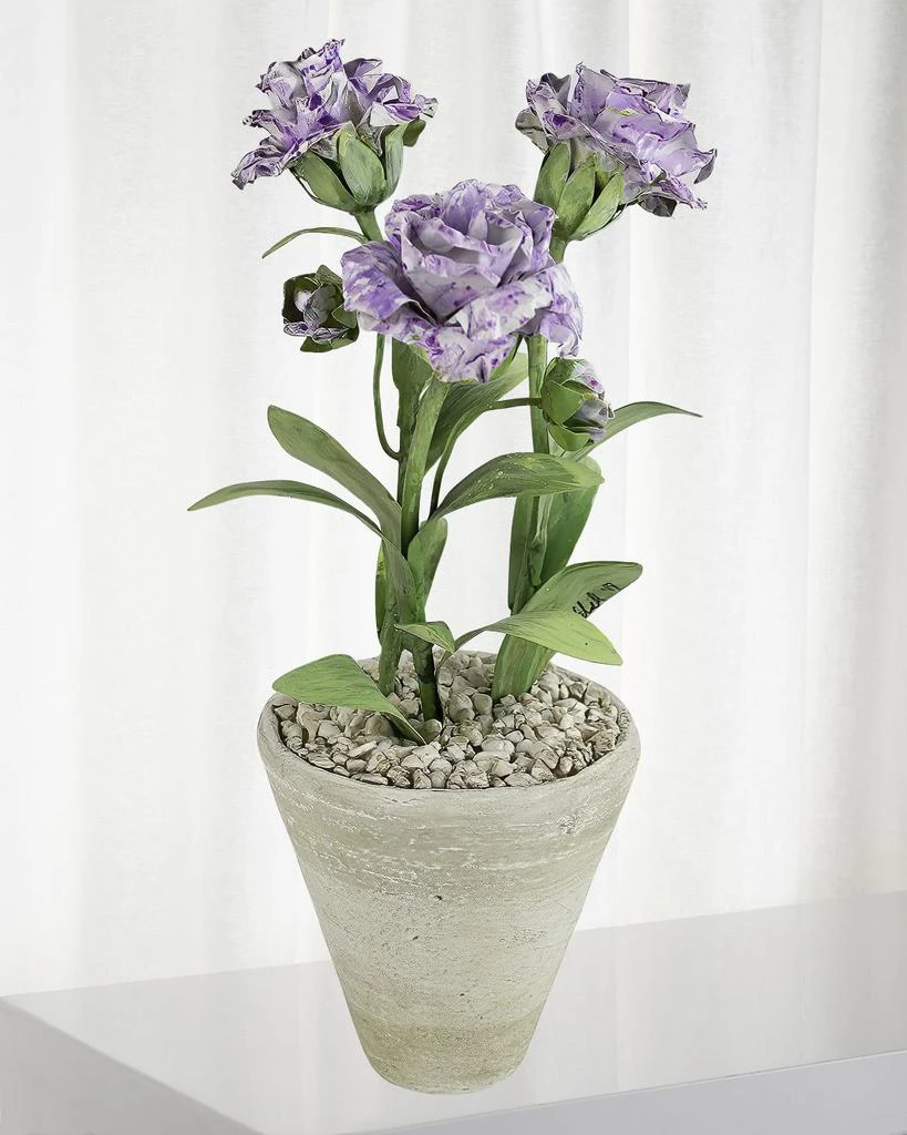 Tommy Mitchell Carnation January Birth Flower in White Terracotta Pot 1