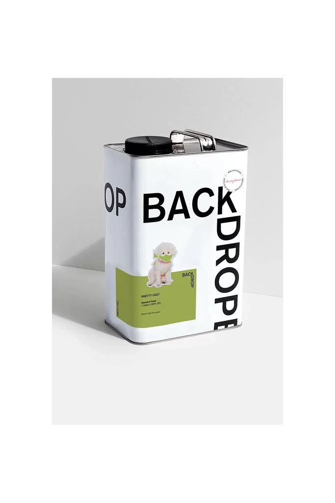 Backdrop Backdrop Standard Finish Paint - 1 Gallon 1