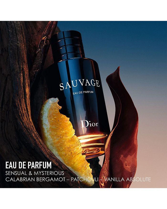 Dior Sauvage Eau de Parfum 3