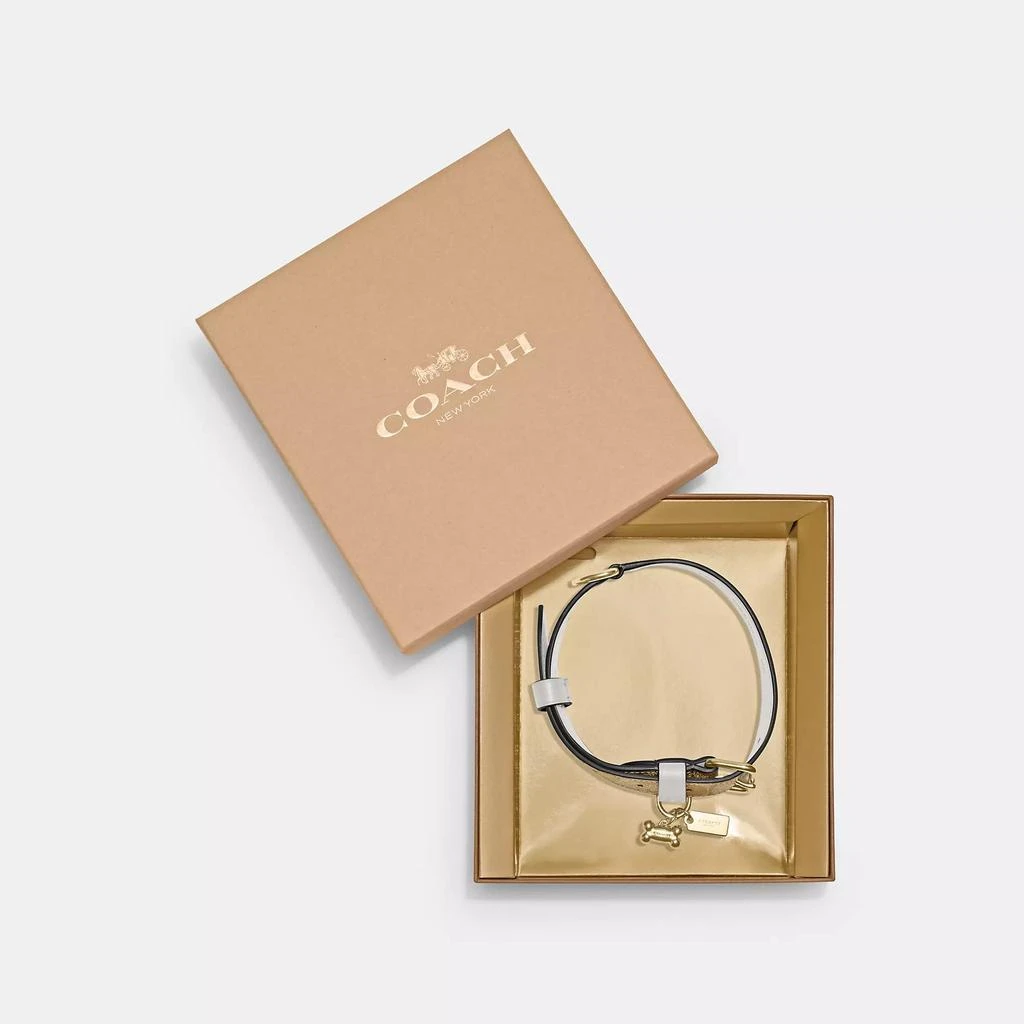 Coach Boxed Large Pet Collar In Signature Canvas 1