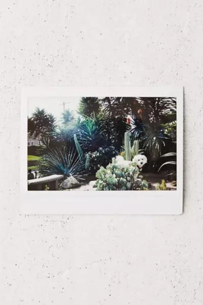 Fujifilm Fujifilm INSTAX Wide Film 3