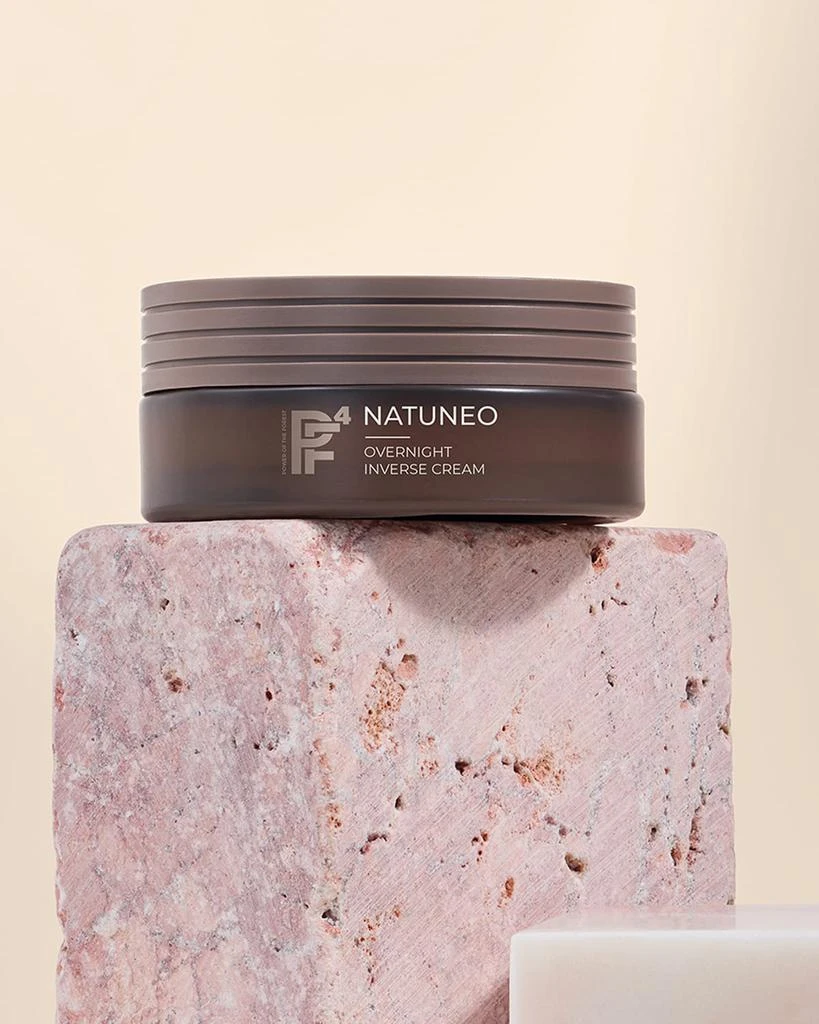 Annemarie Borlind Natuneo Overnight Inverse Cream, 1.69 oz. 2