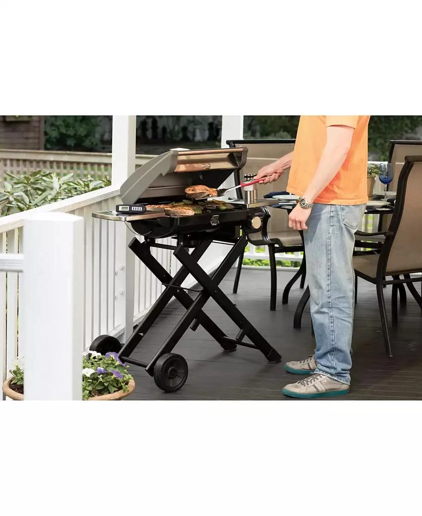 Cuisinart CGG-240 All Foods Roll-Away Gas Grill 4