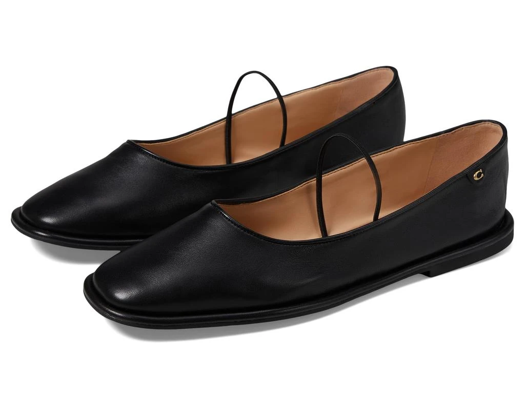 Coach Emilia Mary Jane 1
