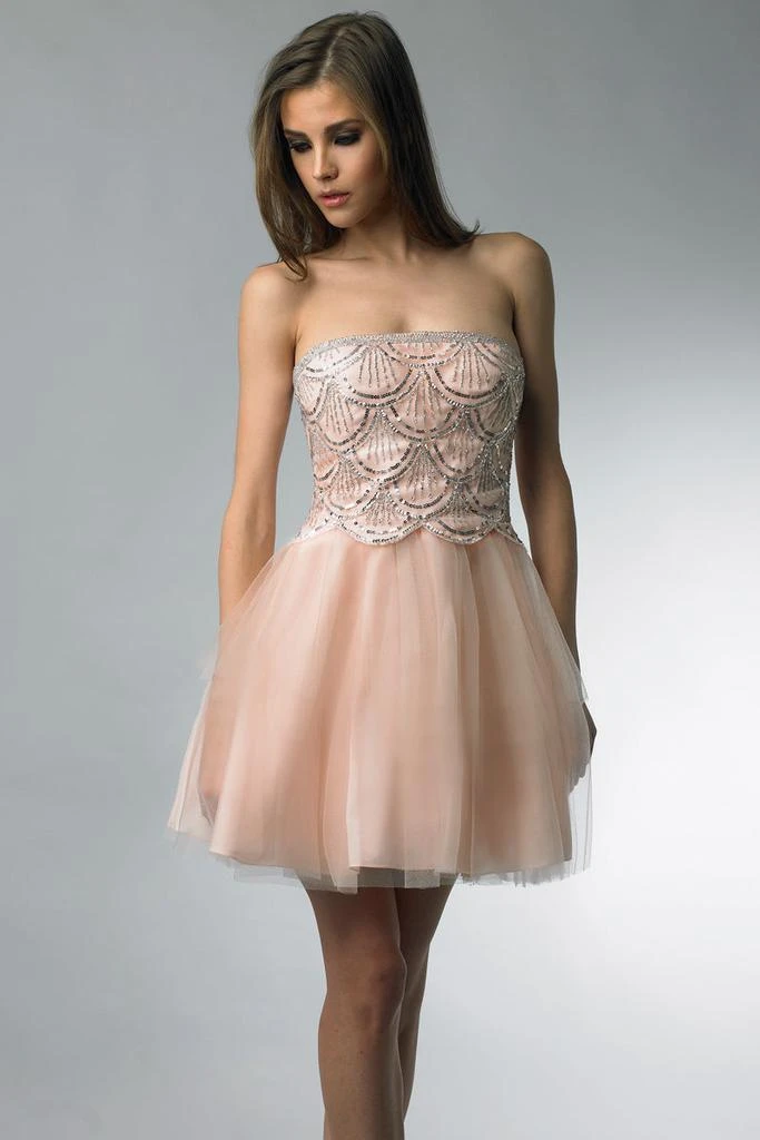 Basix Black Label Baby Doll Mini Dress 3