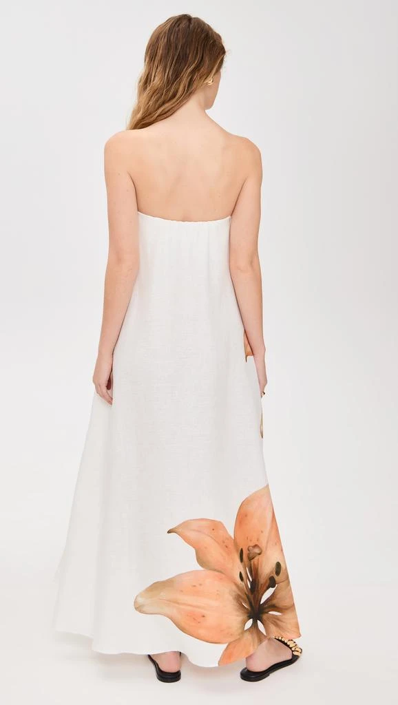 Significant Other Parisa Maxi Dress 2