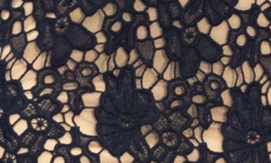 Nina Leonard Sleeveless Lace Dress 3