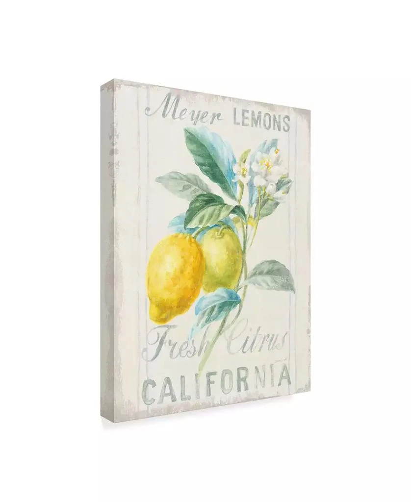 Trademark Global Danhui Nai Floursack Lemon II Canvas Art - 20" x 25" 2