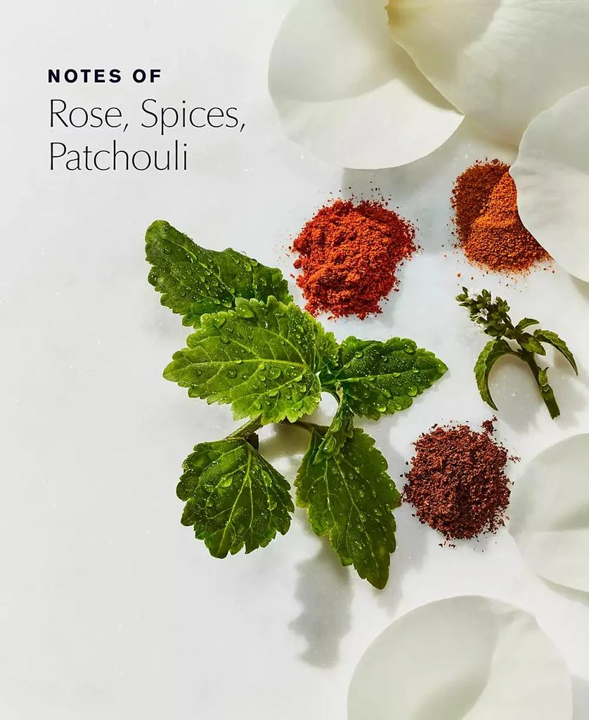 Estée Lauder Youth Dew Dusting Powder, 7 oz 4