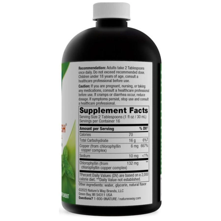 Nature's Way Chlorofresh Liquid Chlorophyll Mint 5