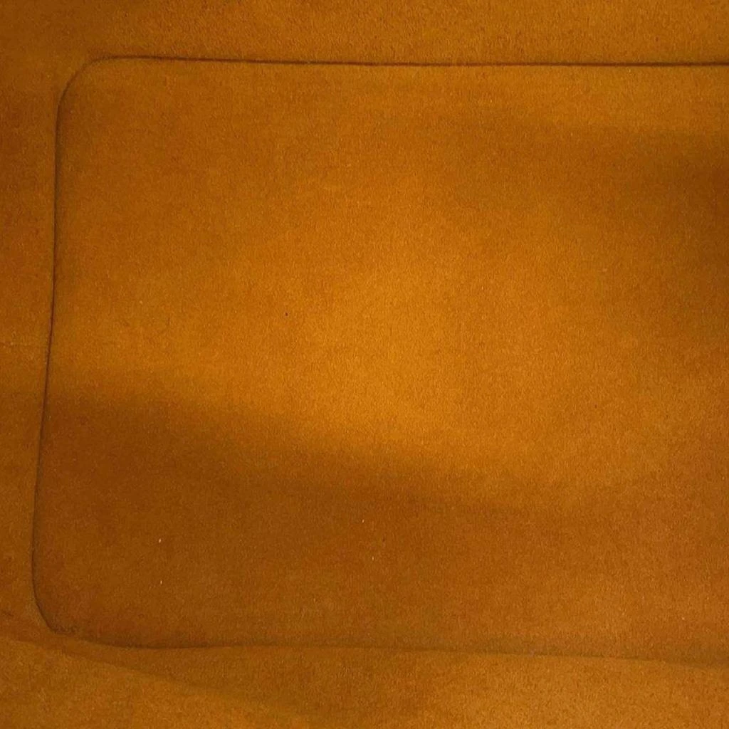 Louis Vuitton Louis Vuitton Caramel/Black Monogram / Giant Neonoe bag 8