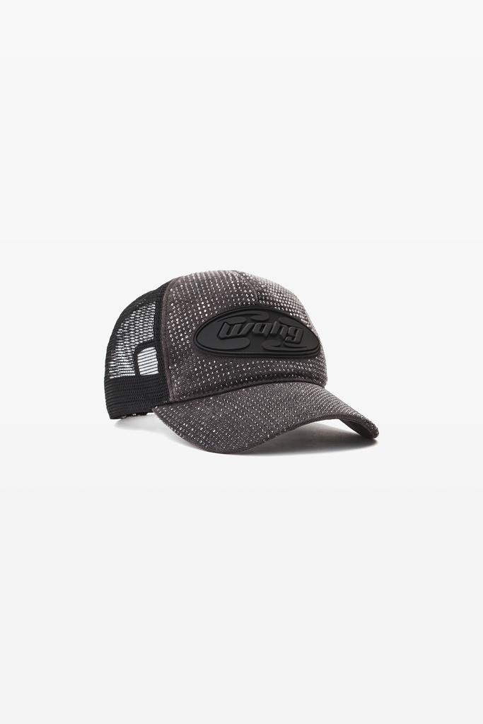 Alexander Wang logo earmuff beanie in ribbed wool stretch