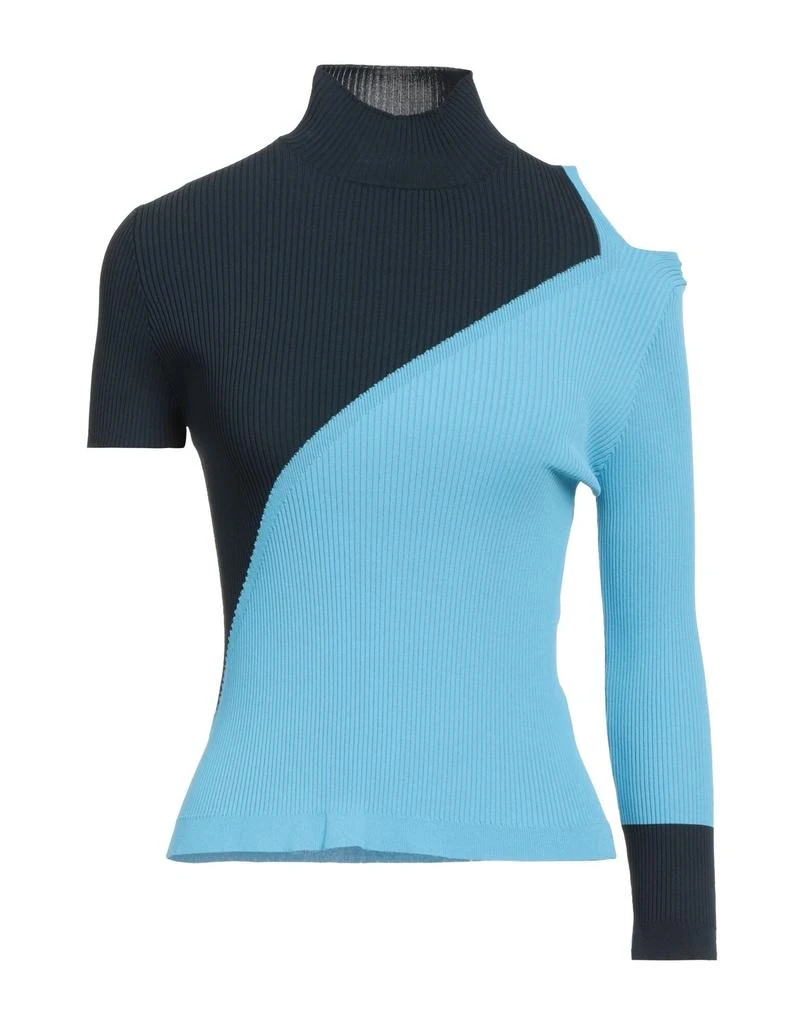 cacharel Turtleneck 1