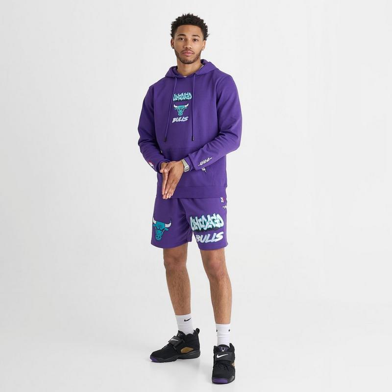Pro Standard Men's Pro Standard Chicago Bulls Grape Pullover Hoodie