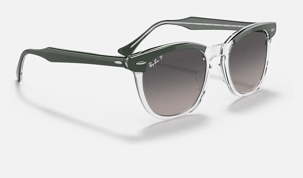 Ray-Ban HAWKEYE 6