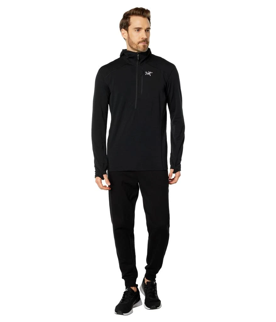 Arc'teryx Delta 1/2 Zip Hoody 4