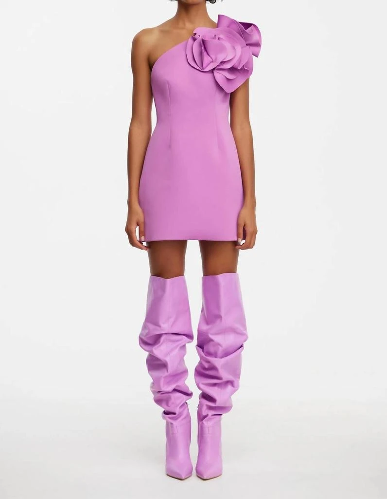 Acler Acler - Turflea Mini Dress 1
