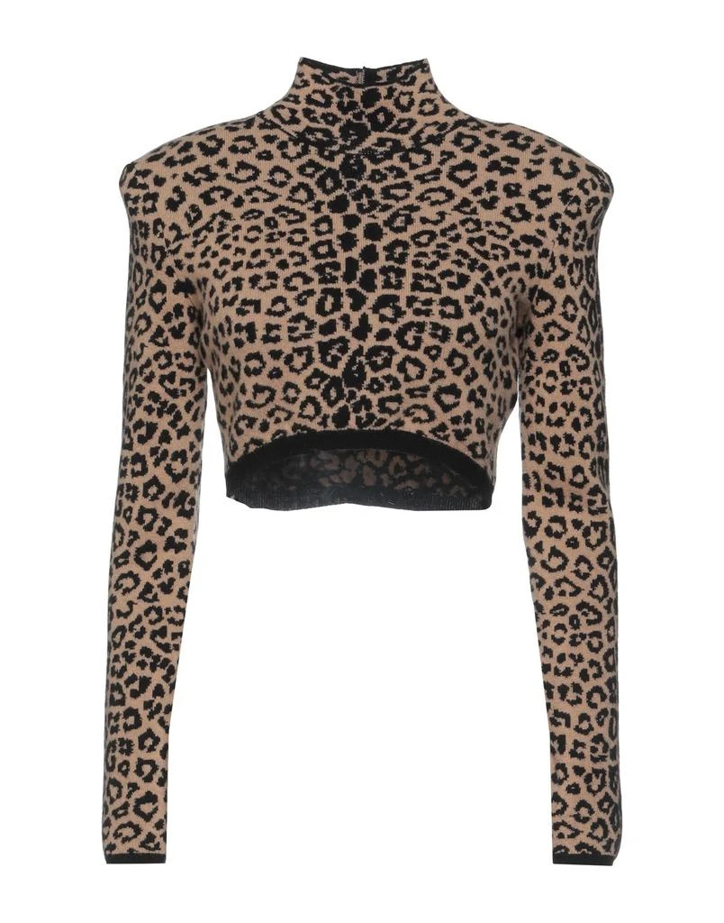 Dundas Turtleneck 1