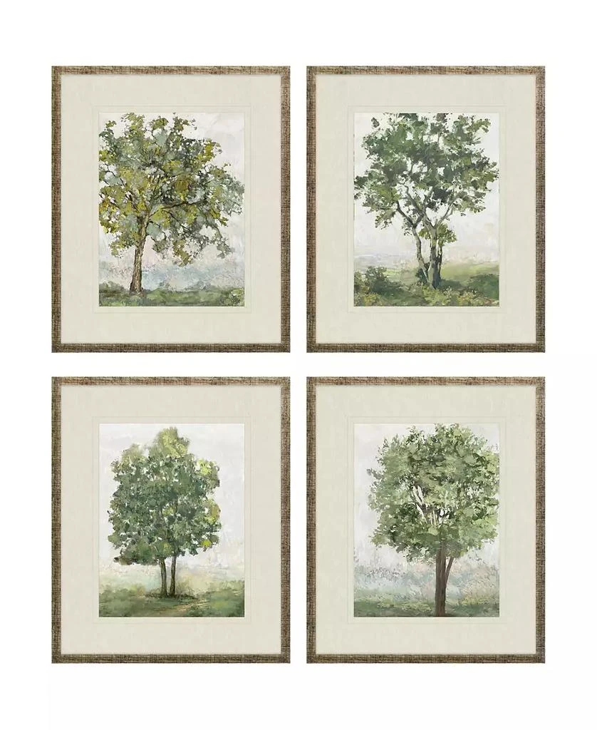 Paragon Picture Gallery Countryside Growth Framed Art, Set of 4 1