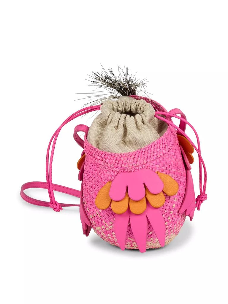 Loewe LOEWE x Paula's Ibiza Woven Bird Bag 5