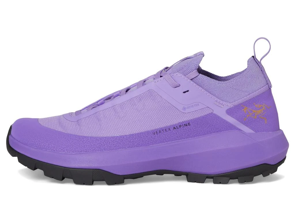 Arc'teryx Vertex Alpine GTX 4