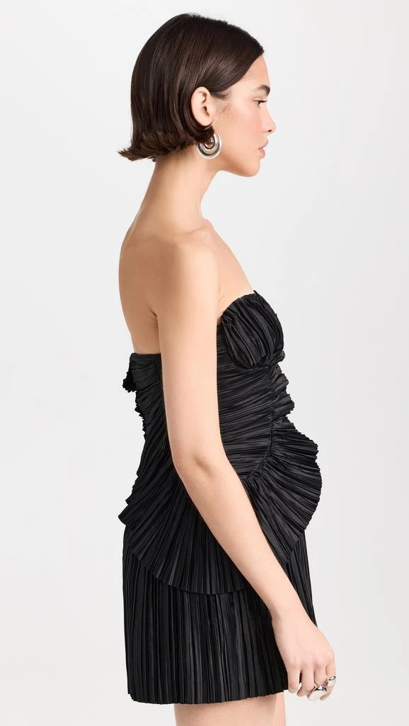 Cult Gaia Charlique Dress 3