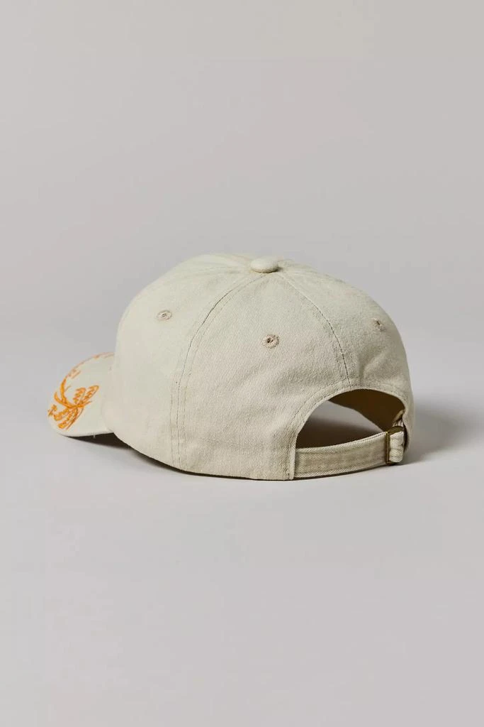 Urban Outfitters Destination Scenic Dad Hat 2