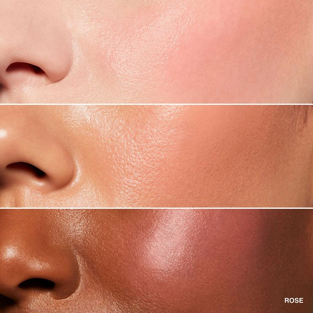 Bobbi Brown Pot Rouge For Lips and Cheeks 11