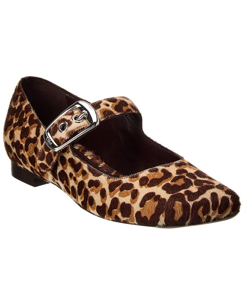 Chloé Polly Haircalf Ballerina Flat 1