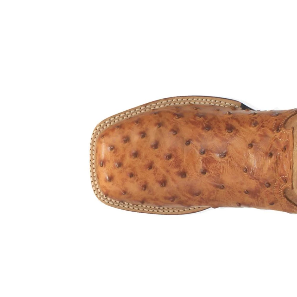 Dan Post Boots Alamosa Embroidered Ostrich Square Toe Pull On Cowboy Boots 4