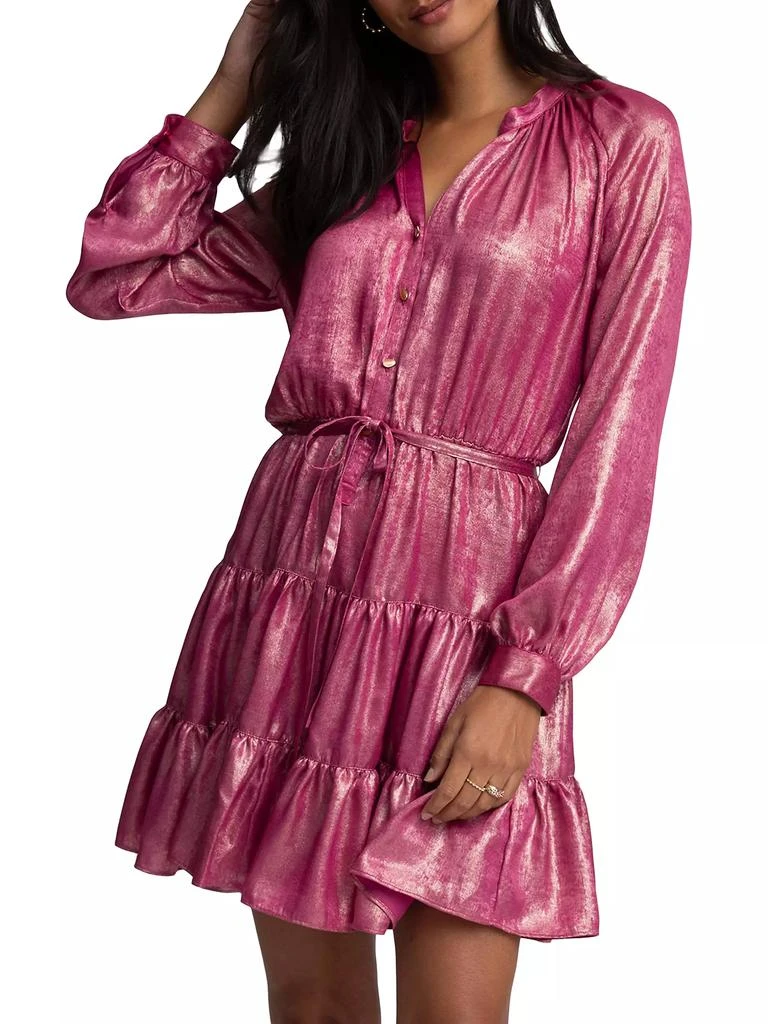 Robert Graham Sydney Metallic Tiered Minidress 6