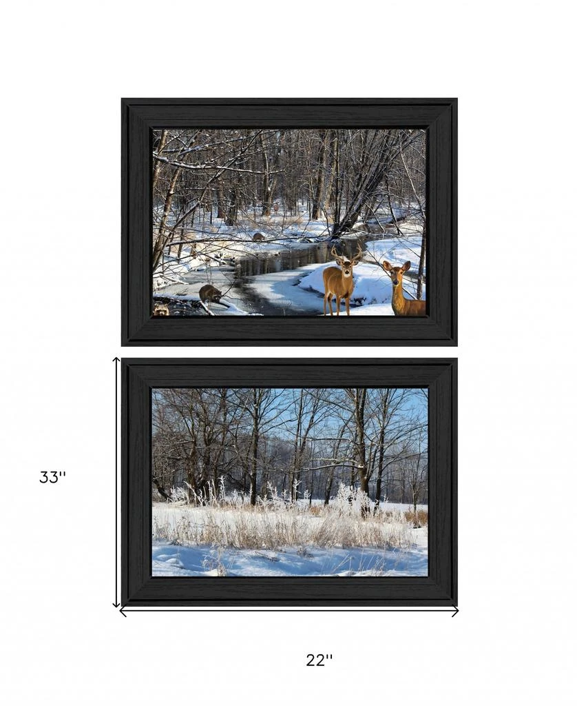 Hivvago Set Of Two Great Outdoors Nature or Winter Forest 3 Black Framed Print Wall Art 5