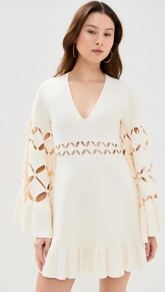 Alexis Linden Mini Dress 6