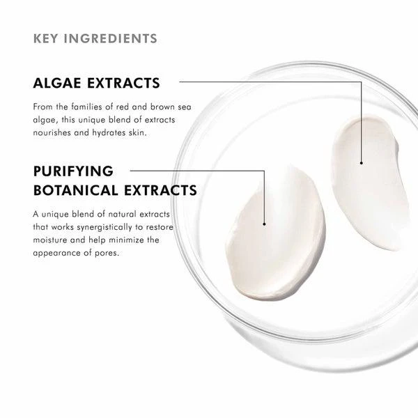 SkinCeuticals SkinCeuticals Daily Moisture 3