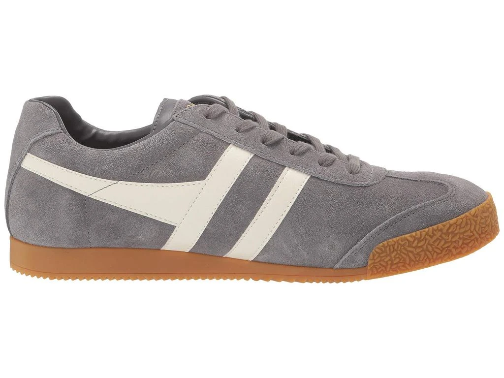 Gola Harrier 6
