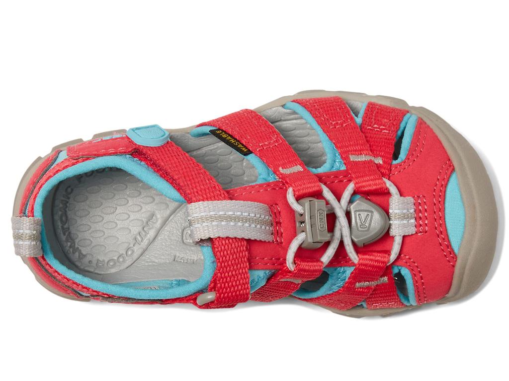 KEEN Kids Seacamp II CNX (Toddler/Little Kid)