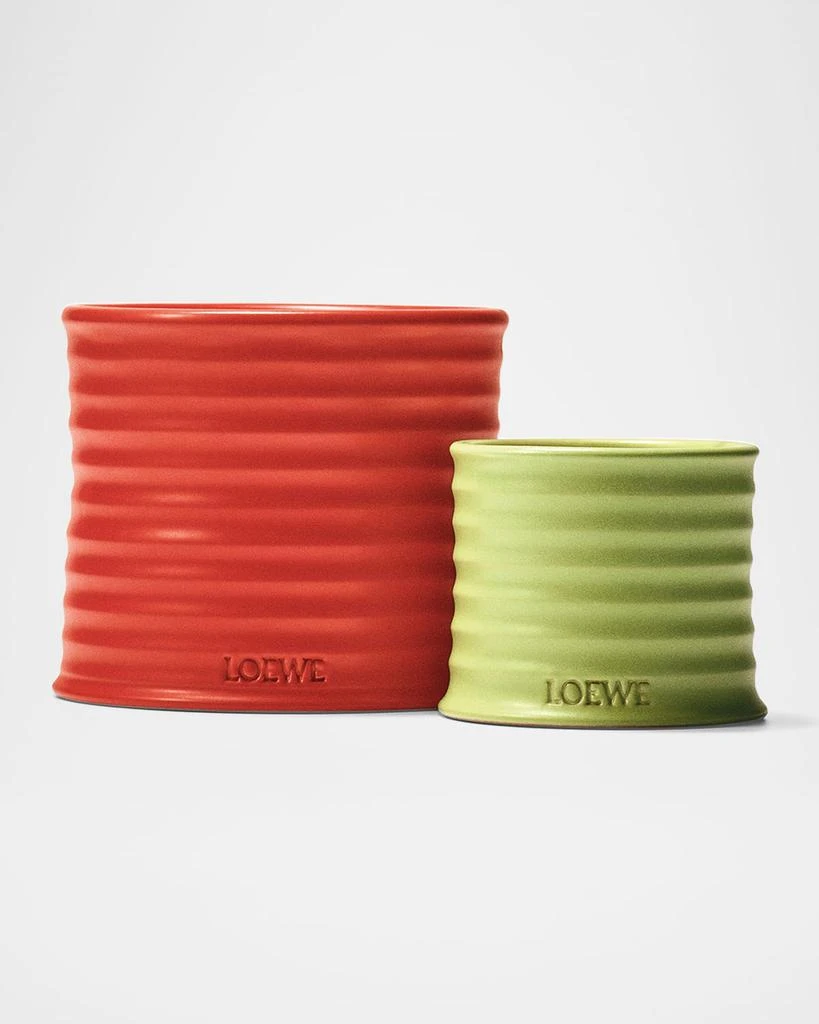 Loewe Large Tomato Leaves Candle, 74.8 oz. 4