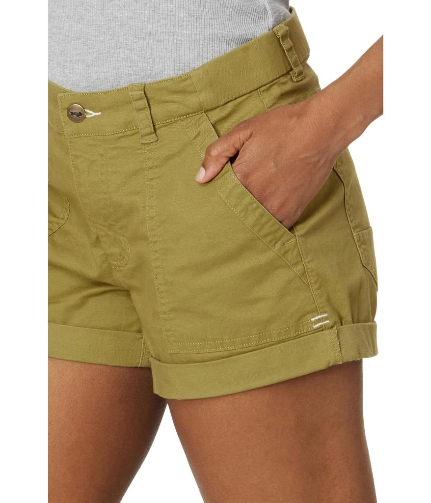 Toad & Co Earthworks Camp Shorts 3