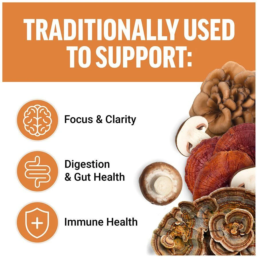 Force Factor Modern Mushrooms Soft Chews Cinnamon Roll 4