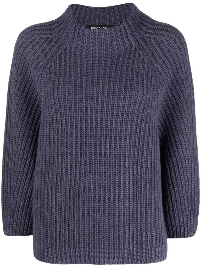 Iris Von Arnim funnel-neck cashmere sweater - women -  -  - Purple 1